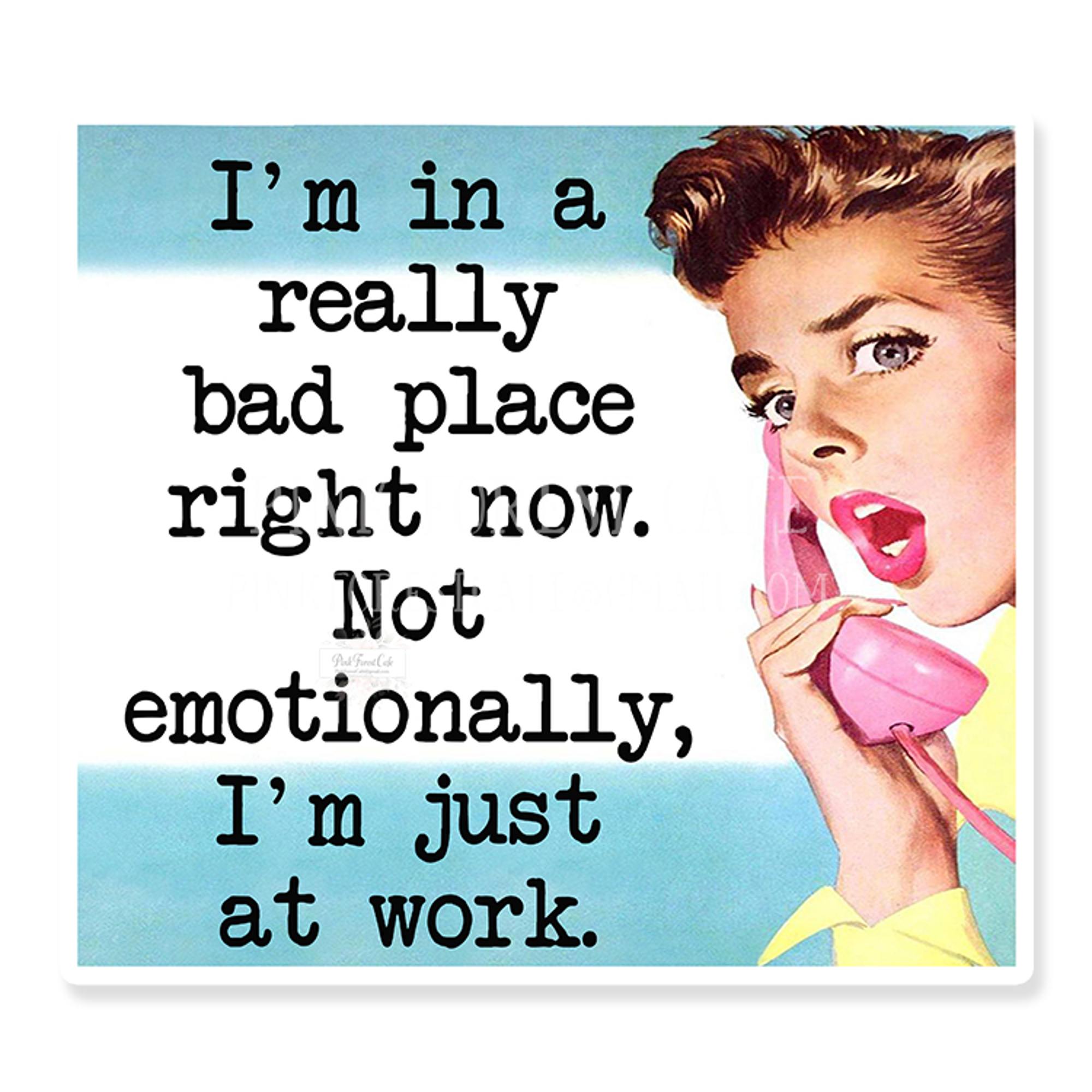 Laptop Water Bottle Stanley Cup Car Vinyl Decal Stickers Jane